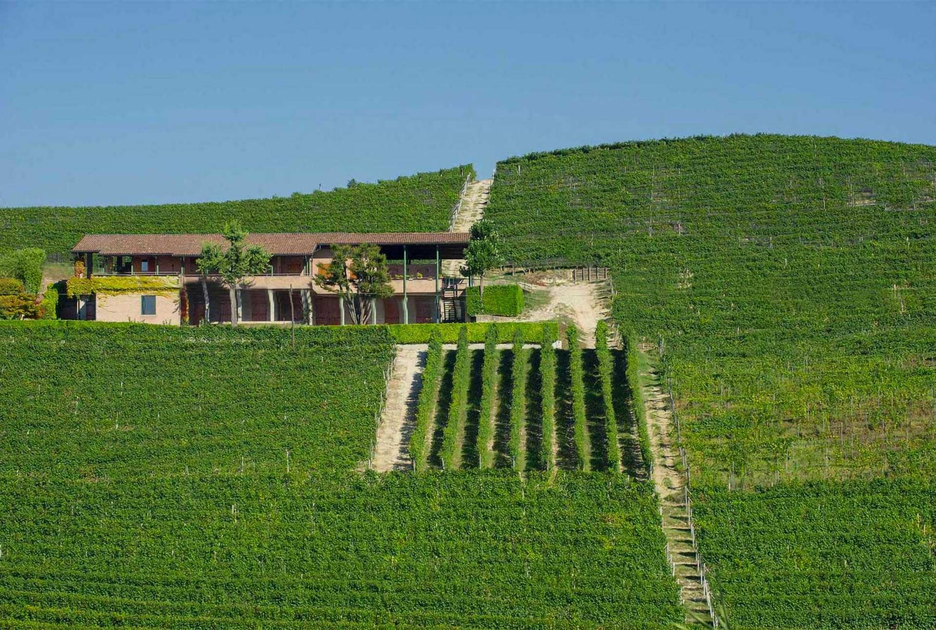 Cantina Bricco Asili