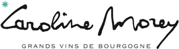 caroline morey logo