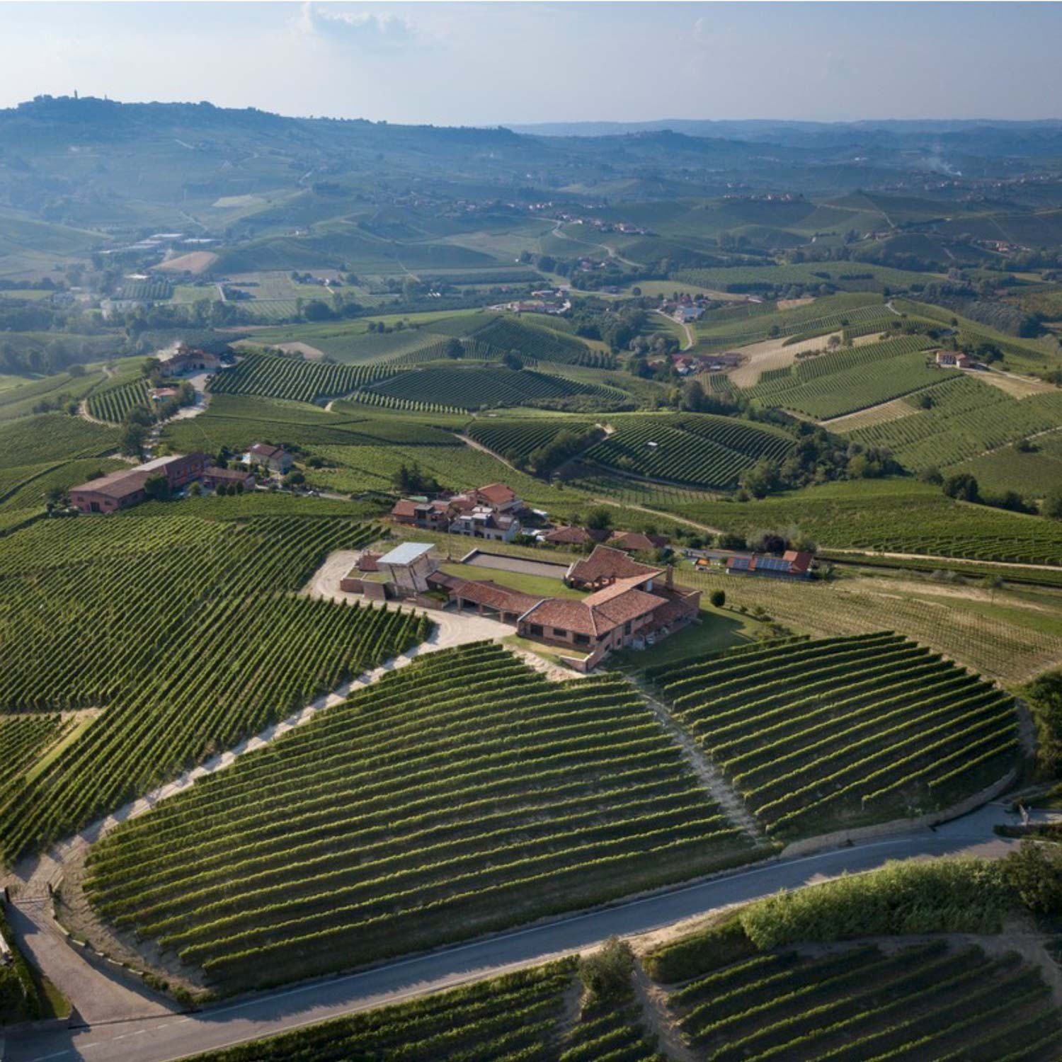 The Bricco Rocche vineyard  