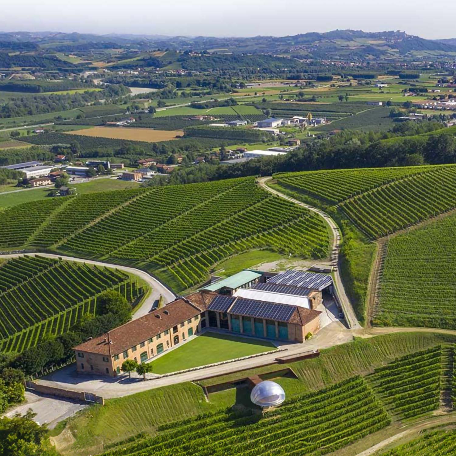 Vineyards that reflect their land