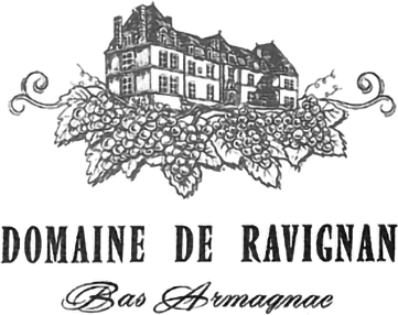 chateau de ravignan