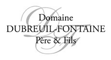 dubreuil fontaine