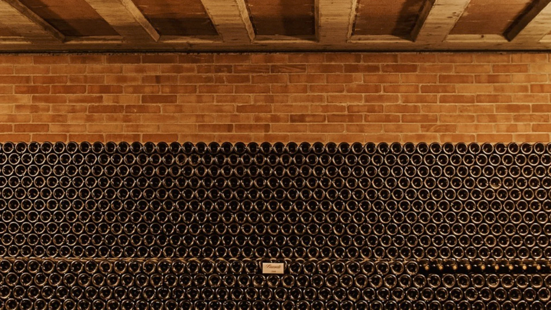 Our wines
