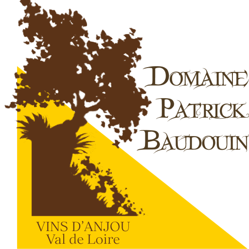 patrick baudouin