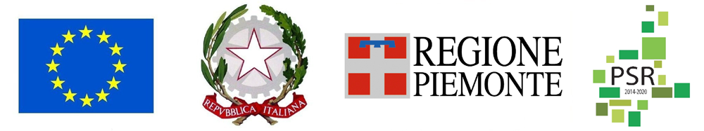 banner feasr