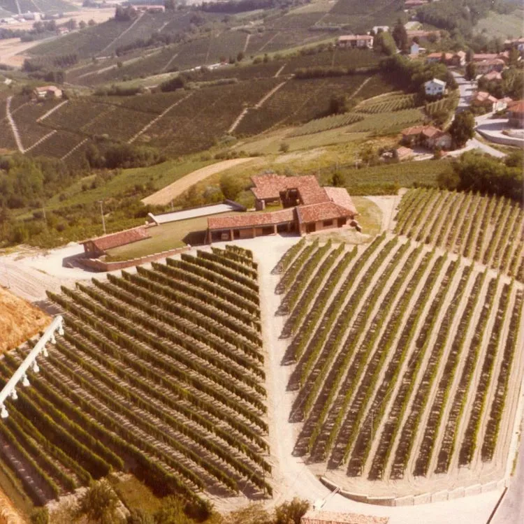 1960 / 1980